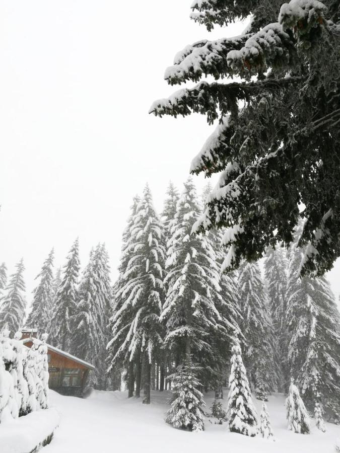 Elitza Villa Pamporovo Exterior photo